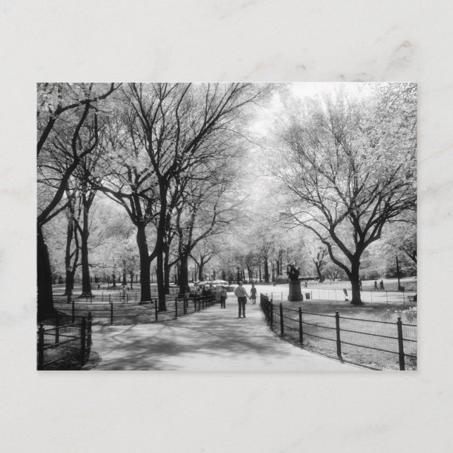 Central Park postcards (Front)