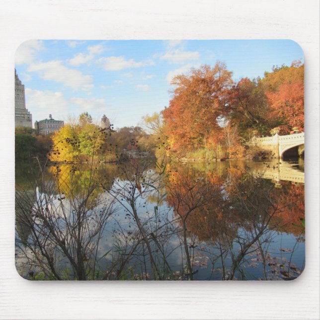 Central Park Reflections in Autumn Mouse Mat (Front)