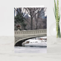Central Park’s Bow Bridge Photo