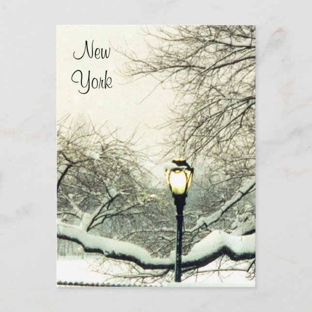 central park snow tree postcard (Front)