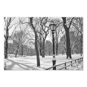 Central Park Snowfall B&W Photo Print