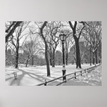 Central Park Snowfall B&W