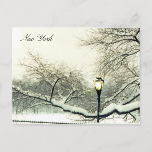 central park snowy tree postcard
