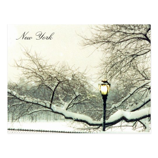 central park snowy tree postcard
