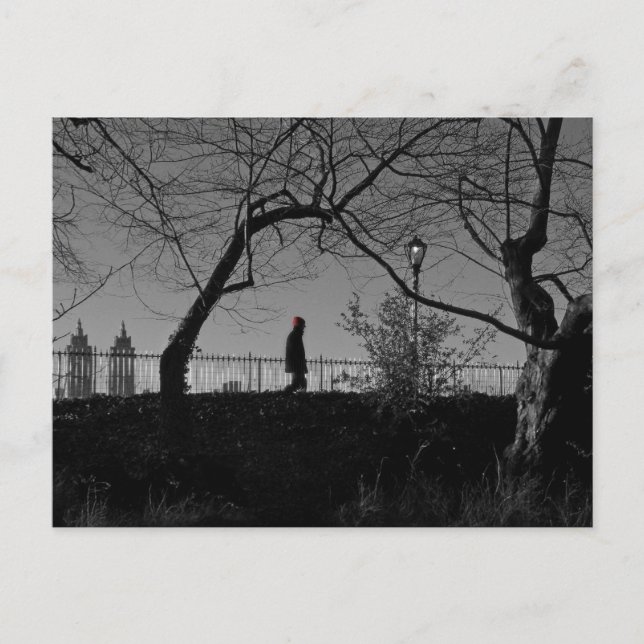 Central Park Walker Postcard (Front)