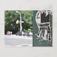 Central Park West NYC Boxing Flyer Photography