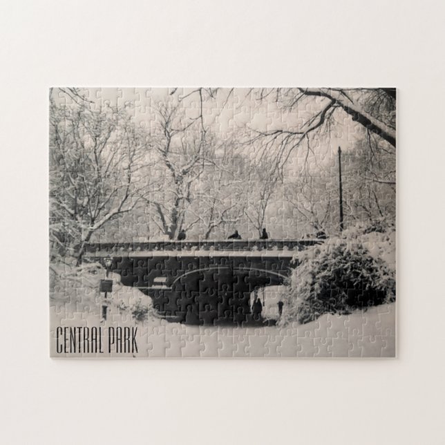 central park winter jigsaw puzzle (Horizontal)