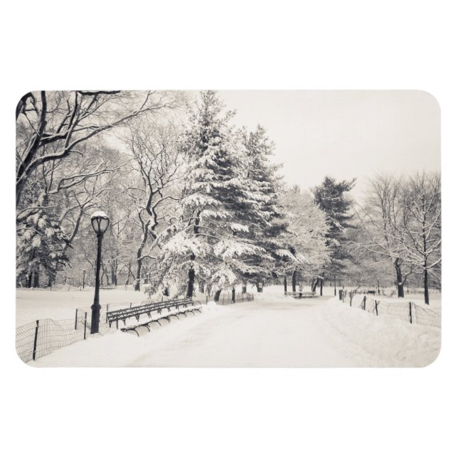 Central Park Winter Path - New York City Magnet (Horizontal)