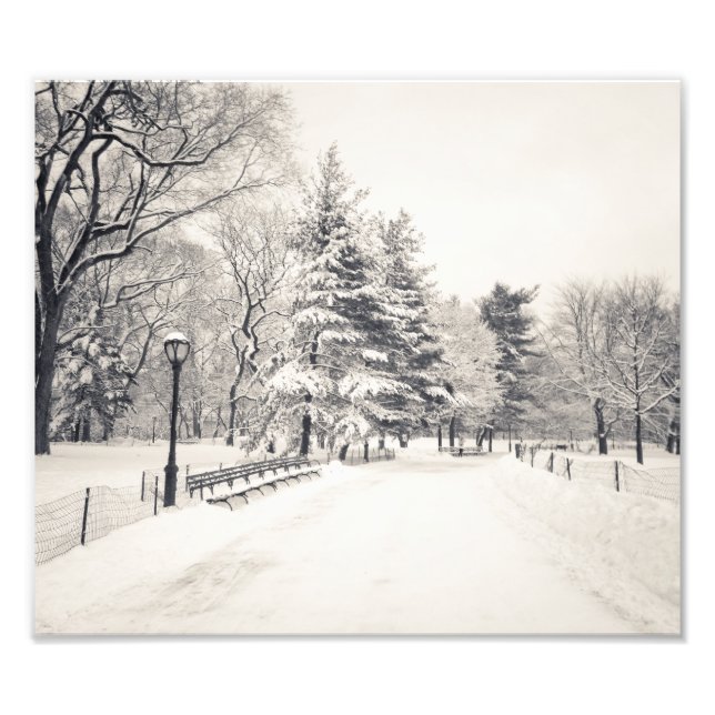 Central Park Winter Path - New York City Photo Print (Front)
