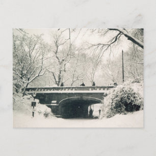 central park winter postcard