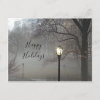 Central Park winter season fog