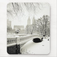 Central Park Winter - Snow on Bow Bridge