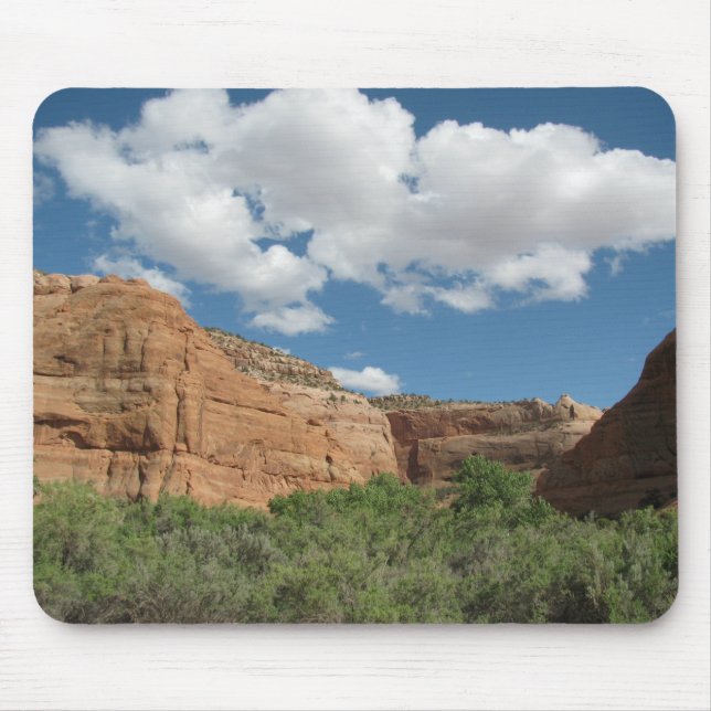 Central Utah Scenery Mouse Mat (Front)