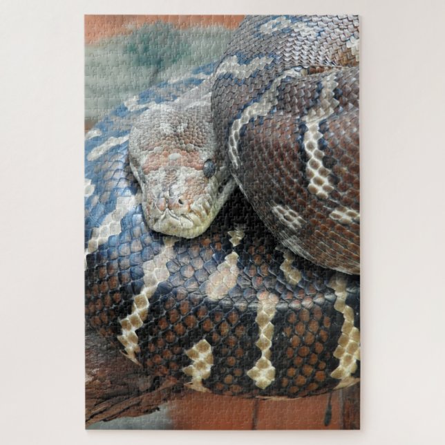 Centralian carpet python jigsaw puzzle (Vertical)