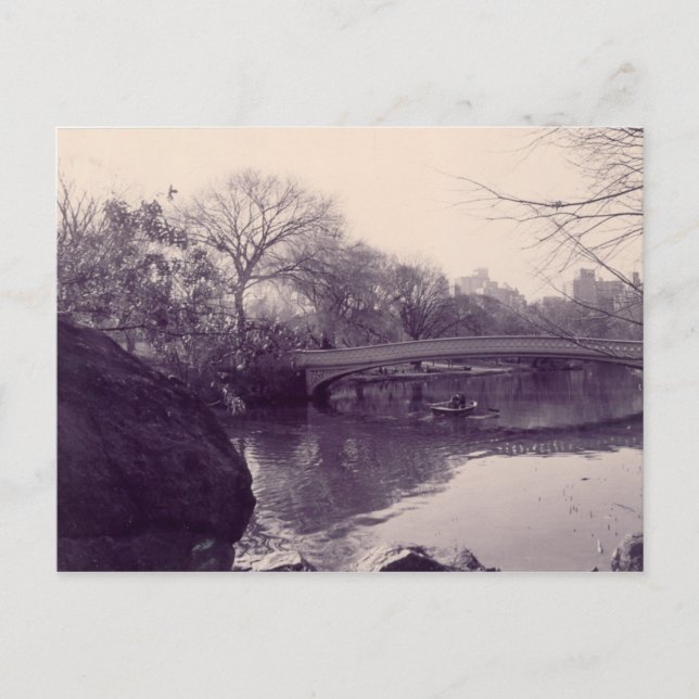 centralpark, Central Park - NY Postcard (Front)