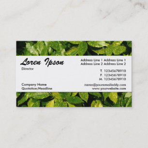 Centre Band 037 - Spotted Laurel Business Card