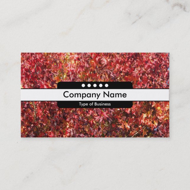 Centre Band 5 Spots - Autumn Leaves Business Card (Front)