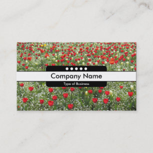 Centre Band 5 Spots - Bed of Tulips Business Card