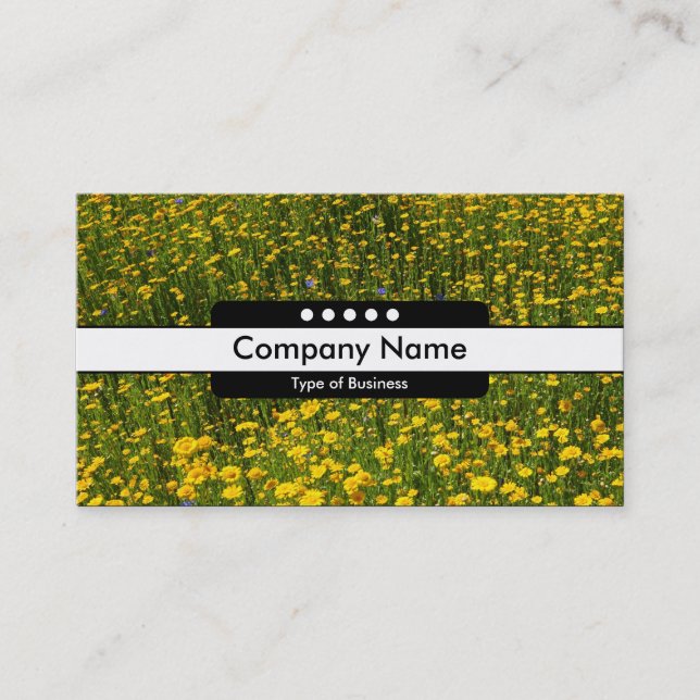 Centre Band 5 Spots - Bed of Yellow Daisies Business Card (Front)