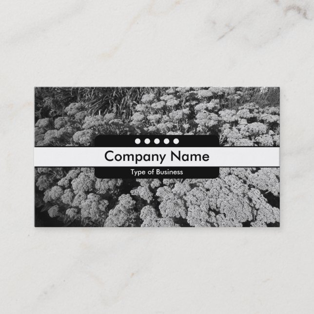 Centre Band 5 Spots - Sedum "Autumn Joy" Business Card (Front)