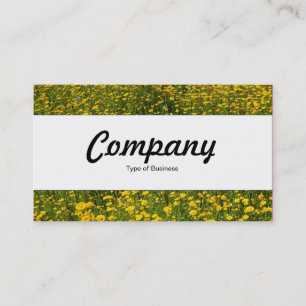 Centre Band - Bed of Yellow Daisies Business Card