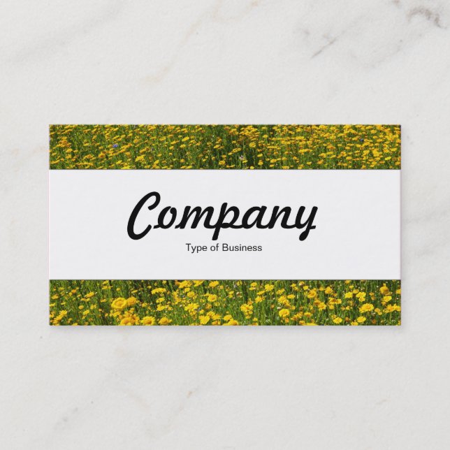 Centre Band  - Bed of Yellow Daisies Business Card (Front)