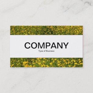 Centre Band - Bed of Yellow Daisies Business Card