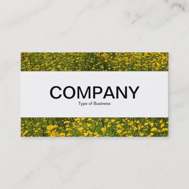 Centre Band  - Bed of Yellow Daisies Business Card (Front)