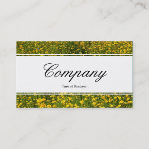 Centre Band (edged) - Bed of Yellow Daisies Business Card