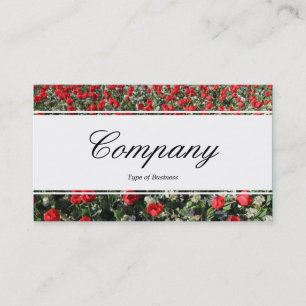 Centre Band (edged) - Script - Red Tulips and Prim Business Card