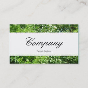 Centre Band (edged) - Script - Summer Breeze Business Card