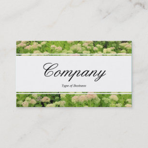 Centre Band (edged) - Sedum (Autumn Joy) Business Card