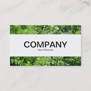 Centre Band - Summer Breeze Business Card