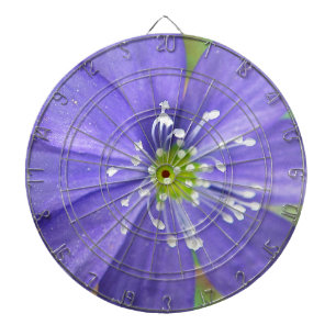 Centre of a blue flower with white stamps dartboard