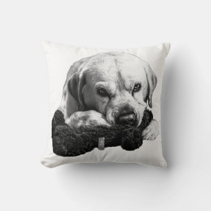 Centre of Attention Cushion