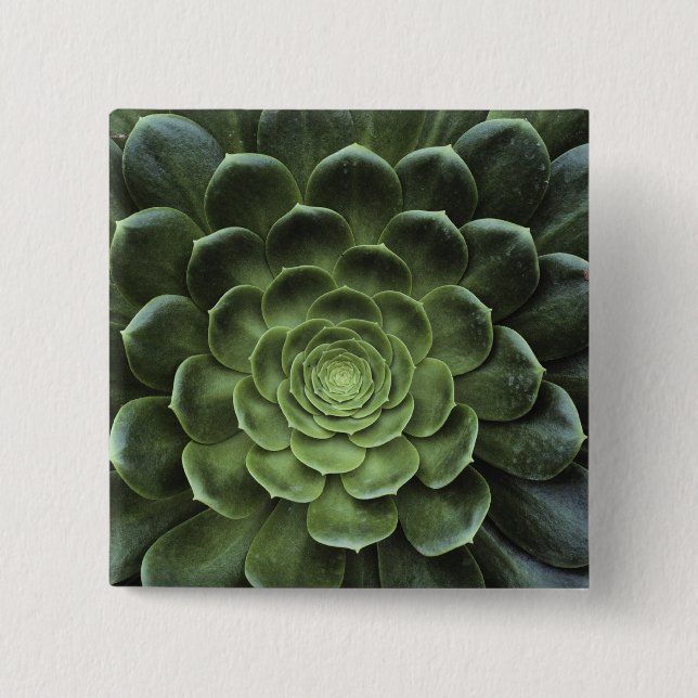 Centre of Cactus 15 Cm Square Badge (Front)