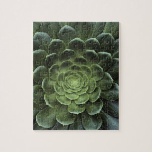 Centre of Cactus Jigsaw Puzzle