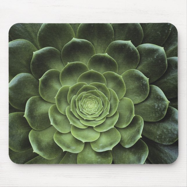 Centre of Cactus Mouse Mat (Front)
