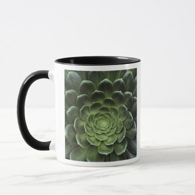 Centre of Cactus Mug (Left)