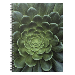 Centre of Cactus Notebook