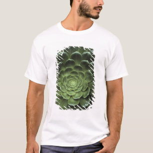 Centre of Cactus T-Shirt