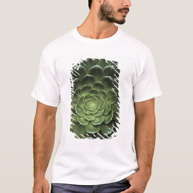 Centre of Cactus T-Shirt (Front)