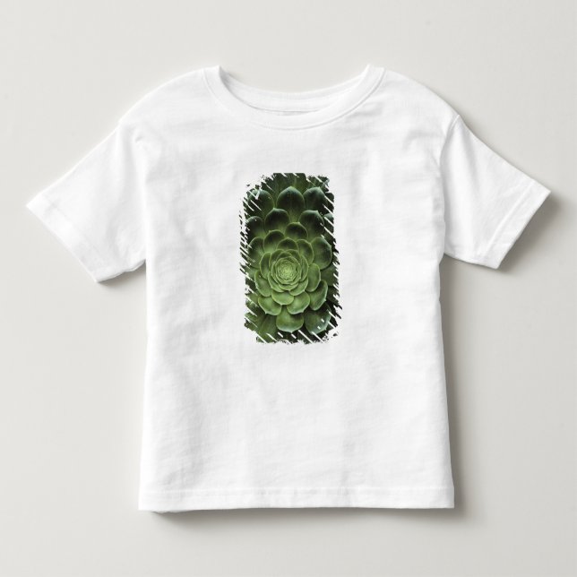 Centre of Cactus Toddler T-Shirt (Front)