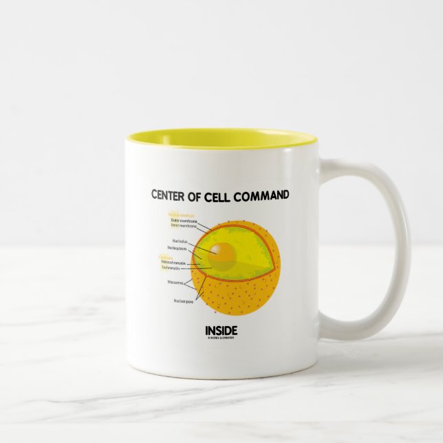 Centre Of Cell Command Inside (Nucleus) Two-Tone Coffee Mug (Right)
