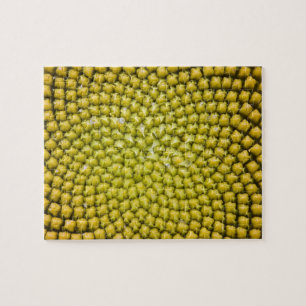 Centre of giant Sunflower (Helianthus annuus) Jigsaw Puzzle