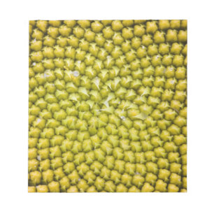 Centre of giant Sunflower (Helianthus annuus) Notepad