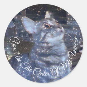 Centre of Universe Sparkly Cat Digital Picture Classic Round Sticker