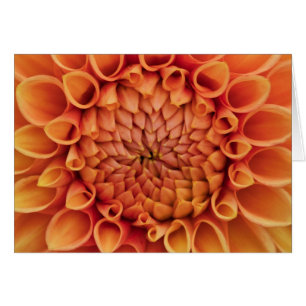 Centre Orange Dahlia Flower Blank Inside