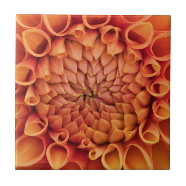 Centre Orange Dahlia Flower Tile (Front)