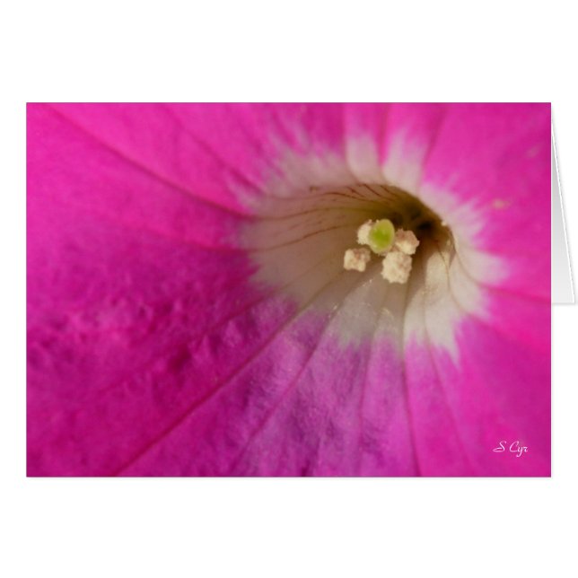 Centre Stage, S Cyr (Front Horizontal)